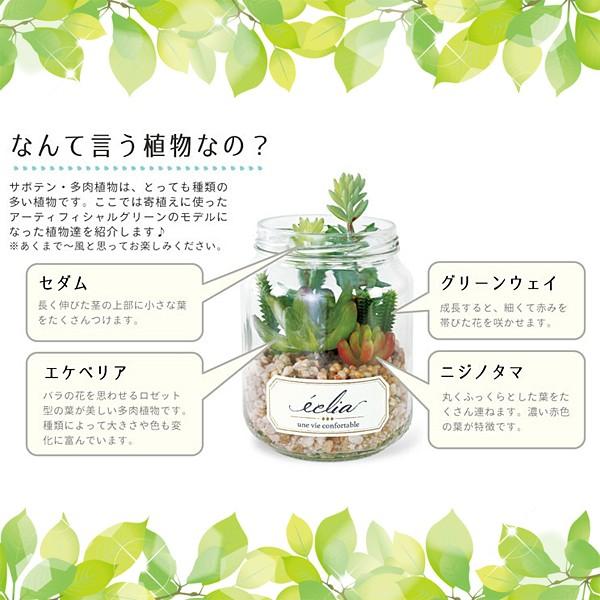 多肉植物 サボテン インテリア フェイクグリーン 観葉植物 CT触媒 消臭 防汚 抗菌 造木 小型 瓶 【納期A】【toh-289100】