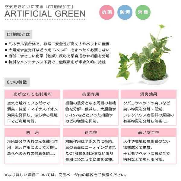 インテリアグリーン 観葉植物 フレーム 手入れ不要 CT触媒 消臭 抗菌 防汚 【納期A】【toh-289182】