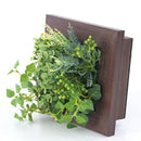 インテリアグリーン 観葉植物 フレーム 手入れ不要 CT触媒 消臭 抗菌 防汚 【納期A】【toh-289182】