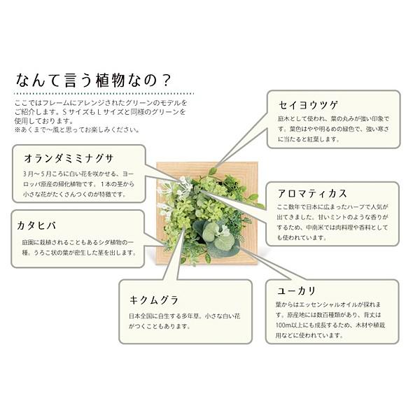 インテリアグリーン 観葉植物 フレーム 手入れ不要 CT触媒 消臭 抗菌 防汚 【納期A】【toh-289182】