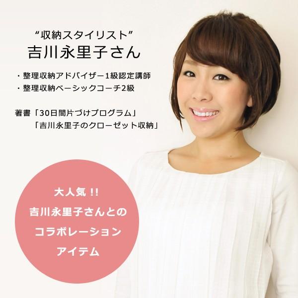収納ボックス 小物収納袋 ファブリック インナーケース 布製 折りたたみ 【納期A】【toh-289747】