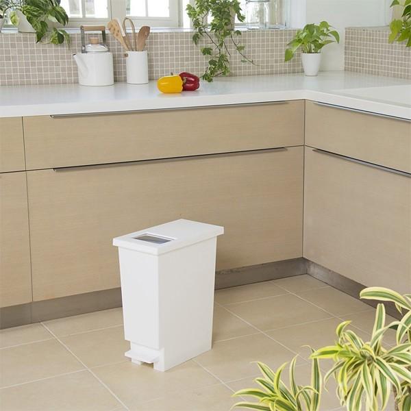 ゴミ箱 30リットル フタ付き おしゃれ スリム キッチン ペダル ふたつき 袋見えない ふた付き 30l 【納期A】【toh-294800】