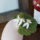 一輪挿し 花瓶 おしゃれ 陶器 SACCO 03 サッコ 柴田文江 kinto キントー 【納期A】【toh-296088】