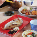 お皿 プレート 角型 長方形 陶器 磁器 電子レンジ対応 食器 焼魚用 おかず用 メイン料理 日本製 おしゃれ レッド ブルー グリーン イエロー 【納期A】【toh-298825】