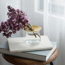 一輪挿し 小型 小さい ミニ 花瓶 フラワーベース おしゃれ モダン インテリア 花器 ガラス 真鍮 多肉植物 水耕栽培 【納期A】【toh-303023】