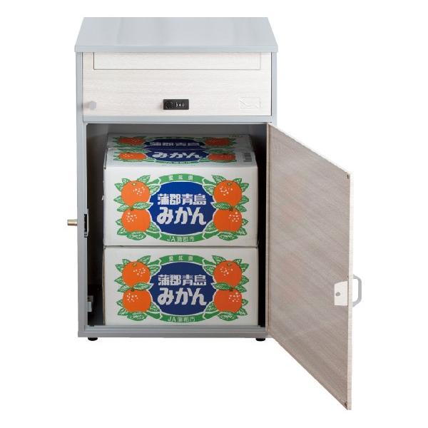 宅配ボックス 戸建 おしゃれ 一戸建て用 一軒家 一軒屋 宅配BOX 2段 メール便スペース 宅配便 【納期D】【toh-306267】