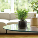 鉢植え 磁器 ポット プランター 鉢 和風 和柄 和室 おしゃれ 落ち着いた デザイン レトロ 観葉植物 卓上サイズ ミニ 小さめ キントー kinto 【納期A】【toh-310530】