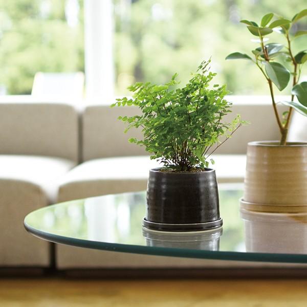 鉢植え 磁器 ポット プランター 鉢 和風 和柄 和室 おしゃれ 落ち着いた デザイン レトロ 観葉植物 卓上サイズ ミニ 小さめ キントー kinto 【納期A】【toh-310530】