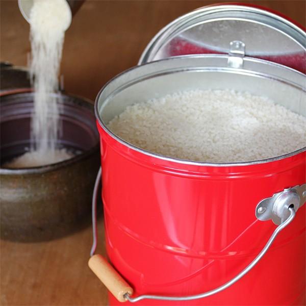 米びつ 5kg 保存容器 入れ物 おしゃれ インテリア 密閉 密封 防虫 洗える 耐久性 トタン 缶 ライスストッカー オバケツ 日本製 【納期A】【toh-312862】