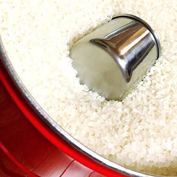 米びつ 10kg 保存容器 入れ物 おしゃれ インテリア 密閉 密封 防虫 洗える トタン缶 ライスストッカー オバケツ 日本製 【納期A】【toh-312867】
