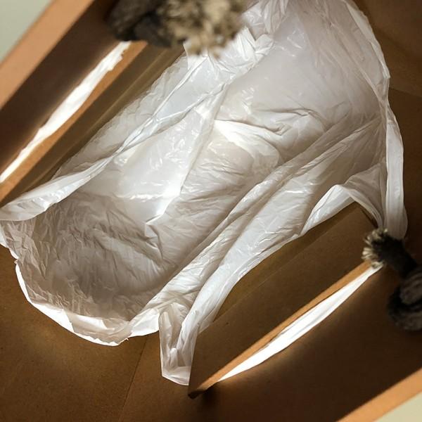 ゴミ箱 小型 収納 箱 インテリア 壁掛け 木製 日本製 国産 収納ボックス おしゃれ 和風 ごみ箱 小さい ミニ 【納期A】【toh-313302】