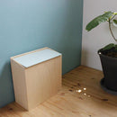 ゴミ箱 8L 小型 ごみ箱 木製 シンプル デザイン 北欧 ナチュラル カントリー 小さい サイズ 小物収納 収納ケース 日本製 【納期A】【toh-330036】