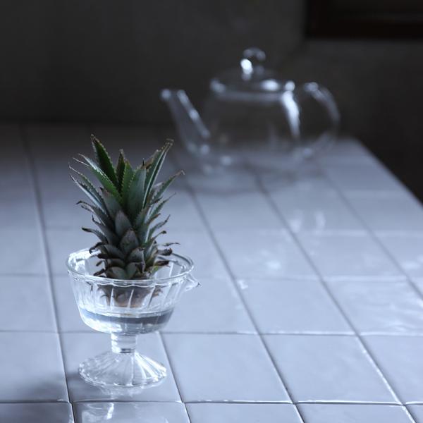 ガラス容器 水耕栽培 野菜 植物 花瓶 カップ フラワーベース インテリアグリーン 観葉植物 家庭菜園 キッチン プランター リサイクル 再生野菜 へた 根っこ 【納期A】【toh-377422】