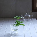 ガラス容器 水耕栽培 野菜 植物 花瓶 カップ フラワーベース インテリアグリーン 観葉植物 家庭菜園 キッチン プランター リサイクル 再生野菜 へた 根っこ 【納期A】【toh-377422】