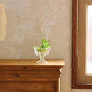 ガラス容器 水耕栽培 野菜 植物 花瓶 カップ フラワーベース インテリアグリーン 観葉植物 家庭菜園 キッチン プランター リサイクル 再生野菜 へた 根っこ 【納期A】【toh-377422】