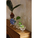 ガラス容器 水耕栽培 野菜 植物 花瓶 カップ フラワーベース インテリアグリーン 観葉植物 家庭菜園 キッチン プランター リサイクル 再生野菜 へた 根っこ 【納期A】【toh-377422】