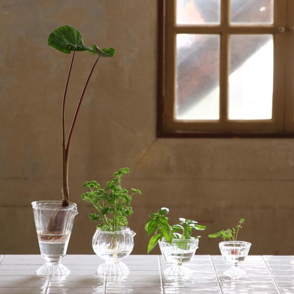 ガラス容器 水耕栽培 野菜 植物 花瓶 カップ フラワーベース インテリアグリーン 観葉植物 家庭菜園 キッチン プランター リサイクル 再生野菜 へた 根っこ 【納期A】【toh-377422】