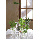 ガラス容器 水耕栽培 野菜 植物 花瓶 カップ フラワーベース インテリアグリーン 観葉植物 家庭菜園 キッチン プランター リサイクル 再生野菜 へた 根っこ 【納期A】【toh-377422】