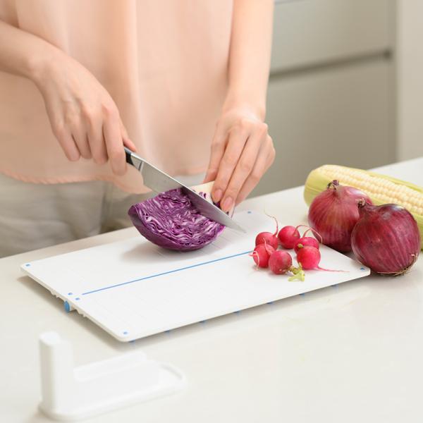 まな板 折りたたみ 抗菌 プラスチック製 折り畳み 真名板 俎板 水切り スタンド付き 滑り止め すべり止め 省スペース コンパクト 収納 食洗機対応 メーカー EKO 【納期A】【toh-379217】
