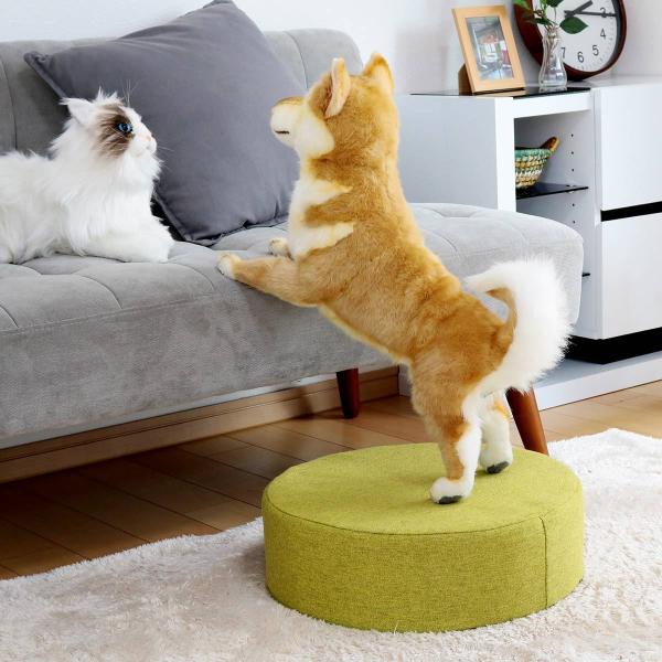 クッション 直径40cm 座布団 フロアクッション 座椅子 ウレタン 低反発 高反発 フロアマット オットマン 足置き 円 丸 おしゃれ インテリア 北欧 デザイン 【納期A】【toh-385193】