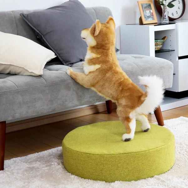 クッション 直径50cm 座布団 円形 丸型 おしゃれ フロアクッション 座椅子 オットマン 足置き ウレタン 低反発 フロアマット インテリア 北欧 デザイン 【納期A】【toh-385196】