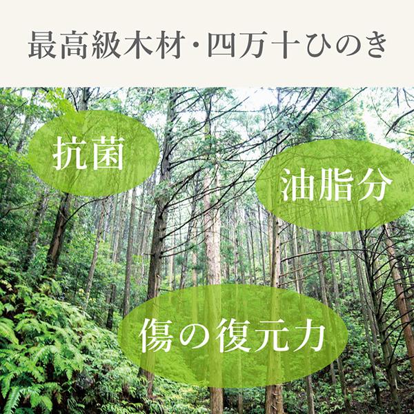 まな板 木製 おしゃれ 自立式 立つ スタンド 真名板 俎板 ヒノキ 桧 檜 日本製 国産 18×30cm Mサイズ 【納期A】【toh-389706】