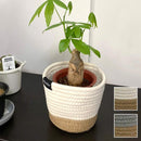 プランターカバー 鉢カバー 3号 4号 サイズ対応 ロープ おしゃれ 室内 観葉植物 インテリアグリーン 床キズ防止 フローリング傷防止 カフェ風インテリア 【納期A】【toh-394671】