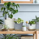 プランターカバー 鉢カバー 5号 6号 サイズ対応 ロープ おしゃれ ナチュラル かわいい 観葉植物 インテリアグリーン 床キズ防止 フローリング傷防止 カジュアル 【納期A】【toh-394673】