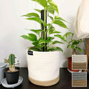 プランターカバー 鉢カバー 5号 6号 サイズ対応 ロープ おしゃれ ナチュラル かわいい 観葉植物 インテリアグリーン 床キズ防止 フローリング傷防止 カジュアル 【納期A】【toh-394673】