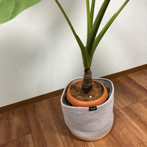 プランターカバー 鉢カバー 7号 8号 サイズ対応 ロープ おしゃれ ナチュラル かわいい 観葉植物 インテリアグリーン フローリング傷防止 カジュアル カフェ風 【納期A】【toh-394675】