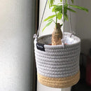 ハンキングプランターカバー 鉢カバー 3号 4号 サイズ対応 ロープ 吊り下げ ハンキングプランター用 おしゃれ 観葉植物 インテリアグリーン 床傷防止 カフェ風 【納期A】【toh-394677】
