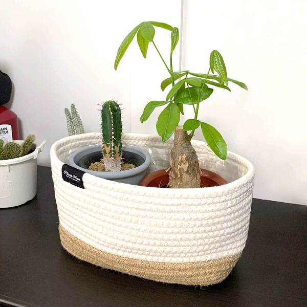プランターカバー 鉢カバー ワイド 横長 3号 4号 サイズ対応 ロープ おしゃれ 室内 観葉植物 インテリアグリーン 床キズ防止 フローリング カジュアル カフェ風 【納期A】【toh-394679】