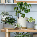 プランターカバー 鉢カバー ワイド 横長 3号 4号 サイズ対応 ロープ おしゃれ 室内 観葉植物 インテリアグリーン 床キズ防止 フローリング カジュアル カフェ風 【納期A】【toh-394679】