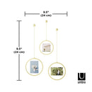 フォトフレーム 写真立て 円形 丸型 吊り下げ 壁掛け ウォールディスプレイ 壁面 おしゃれ スタイリッシュ 北欧 アートフレーム 額縁 umbra アンブラ 【納期A】【toh-396299】