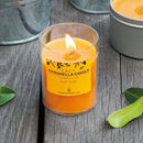 虫よけ アロマ キャンドル 虫除け おしゃれ アロマランプ アロマキャンドル シトロネラ 蚊 虫 対策 【納期A】【toh-4901435905310】