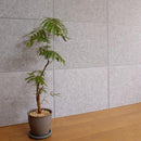 吸音材 壁 吸音ボード 吸音シート 吸音パネル 壁面 防音 防炎 天井 トイレ リビング マンション DIY 賃貸 対応 マンション 戸建て フェルトボード フェルメノン 【納期B】【toh-felmenon-029】