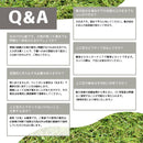 人工芝 ロール diy マット 人工芝生 庭 幅1m 長さ10m ドッグラン ゴルフ サッカー 野球 フットサル ガーデニング リアル 天然風 屋外 防炎 【納期B】【uni-0001】