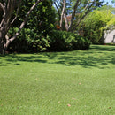 人工芝 ロール 人工芝生 庭 マット diy ゴルフ サッカー 野球 フットサル 練習 ガーデニング メモリーターフ 防炎 幅 1m 巾 長さ 10m 【納期B】【uni-0002】