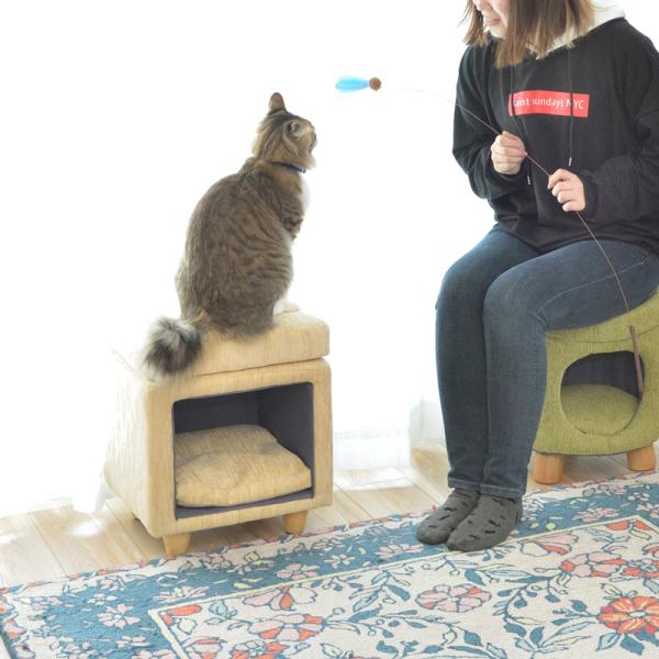 ペットハウス 猫 ねこ ネコ スツール 椅子 収納 脚つき インテリア デザイン 遊び場 ペット クッション付き かわいい おしゃれ ファブリック素材 丸型 円形 【azm-pet-61】