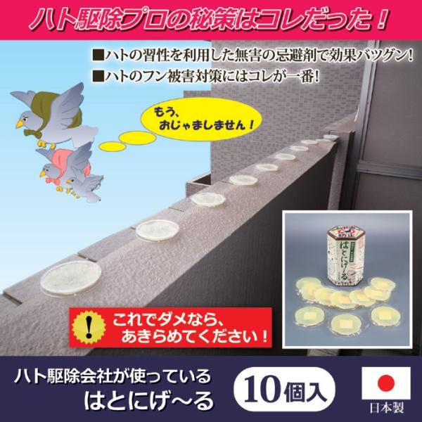 害鳥対策用品「はとにげ～る」 【 即納 あすつく zik- 】