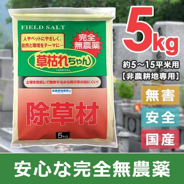 東リ エポグレーST 16kg缶 NSTEP-L 耐湿工法用接着剤 - 4